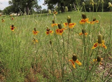101 Admiral Heights Blvd unit 16, Fredericksburg, TX 78624 - photo 6