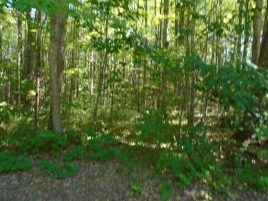 DSC01885