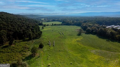 0 Martindale Rd unit 10608820, La Fayette, GA 30728 - photo 2