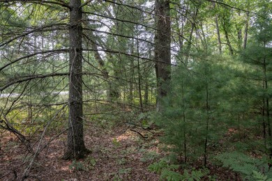 W8878 Cranberry Creek, New Lisbon, WI 53950 - photo 6