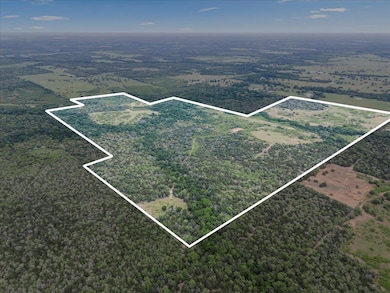 Aerial view with a wooded view