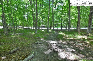 A deer trail cuts through the lot