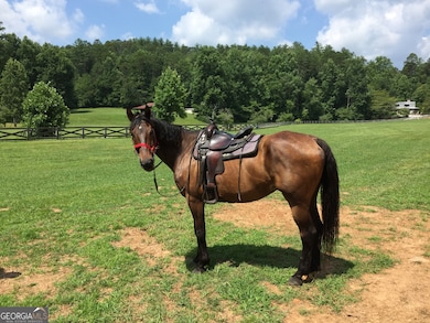 3622 Sandy Ford Rd, Clayton, GA 30525 - photo 7
