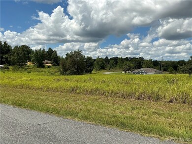 7870 N Merrimac Way, Citrus Springs, FL 34434 - photo 2