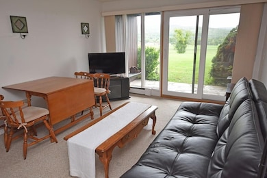 242 N East St unit 20, Amherst, MA 01002 - photo 2