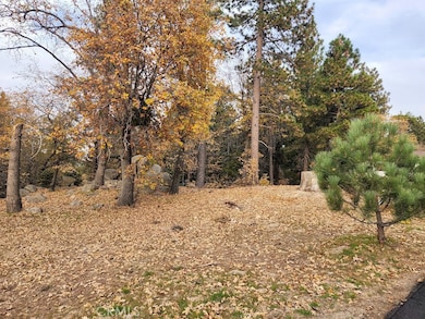 32240 Whisper Dr, Running Springs, CA 92382 - photo 7