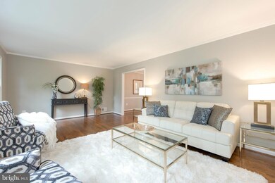 7405 Windmill Ct, Alexandria, VA 22307 - photo 5