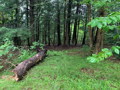 129 Log Cabin Rd, Kennebunkport, ME 04046 - photo 6