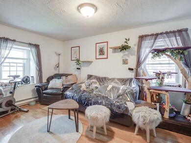 28 Mercer St unit 3, Boston, MA 02127 - photo 3