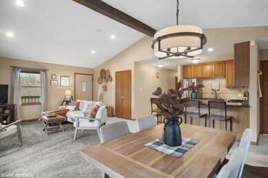 248 Melody Ln, Carpentersville, IL 60110 - photo 4