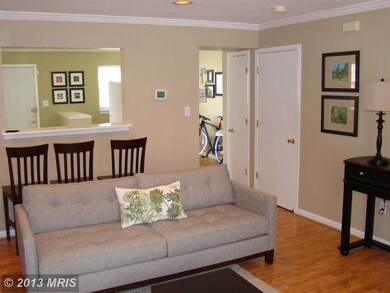 309 N Fremont Ave, Baltimore, MD 21201 - photo 6