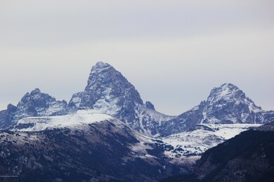 IMG_8329