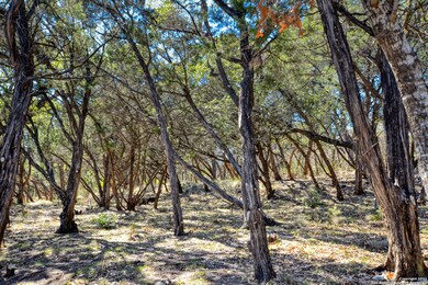 25600 Dull Knife Trail, San Antonio, TX 78255 - photo 3