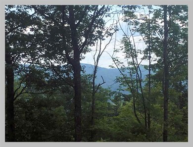 13 Point of View Dr, Plymouth, NH 03264 - photo 2