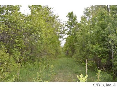 Land Path