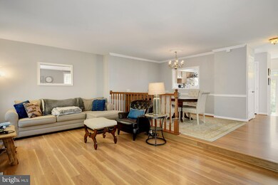 8116 Squirrel Run Rd, Springfield, VA 22152 - photo 7