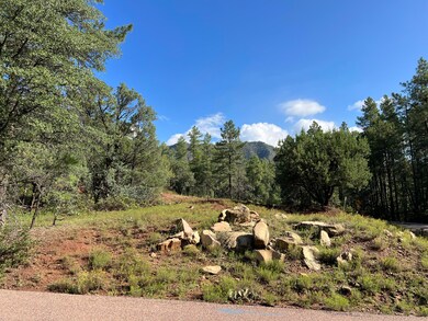 389 E Apache St, Pine, AZ 85544 - photo 6