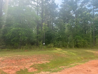 Plesant Rd, Camp Hill, AL 36850 - photo 7