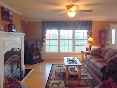 Bright and sunny living room