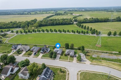 217 Lebeau Dr, Nicholasville, KY 40356 - photo 5