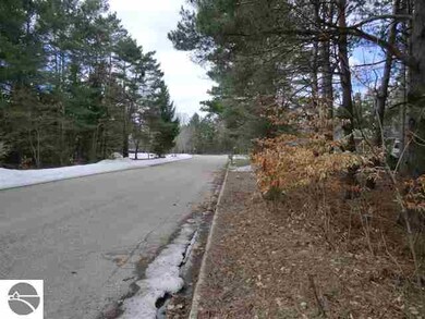 0 Brook Ave unit 1785391, Kaleva, MI 49645 - photo 5