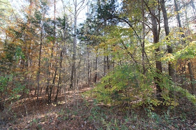 6.5 + - Ac Bookout Rd, Rock Hill, SC 29730 - photo 4