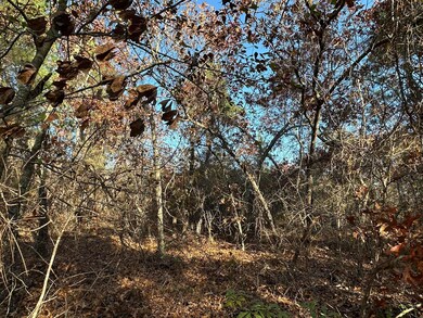 3054 Camp Josey Rd, Blythe, GA 30805 - photo 6