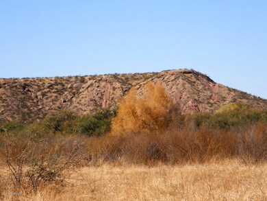 Another view in the fall