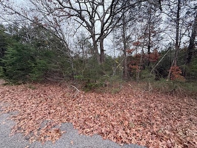 136 Lots Turkey Mountain Estates, Shell Knob, MO 65747 - photo 5