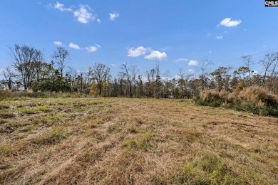 0 Bridge View Ct unit 622664, Newberry, SC 29127 - photo 3