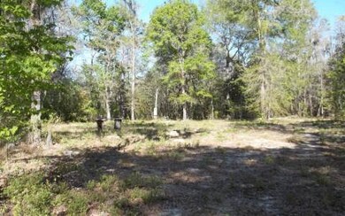 3228 Wilson Springs Rd, Fort White, FL 32038 - photo 2