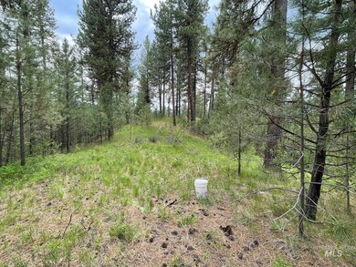 8 Joshua Dr, Cascade, ID 83611 - photo 6