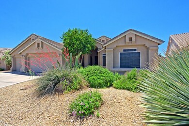 003_Desert Front Landscape
