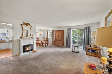 5230 Regency Dr, Toledo, OH 43615 - photo 6