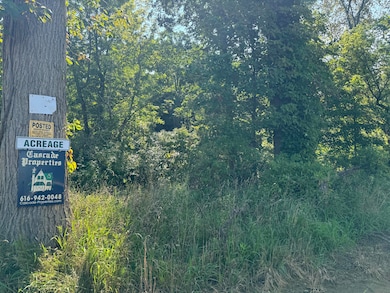 30,40,&50 62nd St, Decatur, MI 49045 - photo 5