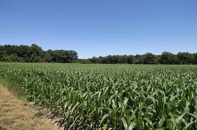 4925 Sawyer Rd, Sawyer, MI 49125 - photo 6