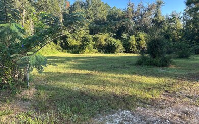 0 Highway 100 unit 128519, Lake Butler, FL - photo 2