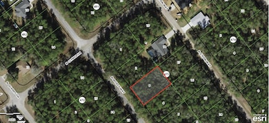 8615 N Spikes Way, Citrus Springs, FL 34434 - photo 3