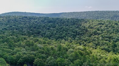 13 Moonshine Dr, Clayton, OK 74536 - photo 6