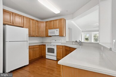 700 Cattail Cove, Cambridge, MD 21613 - photo 5