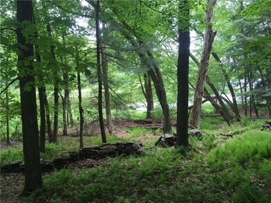 10.7 & 10.9 Cty Hwy 141 Horseshoe Lake Rd, Bethel, NY 12720 - photo 5