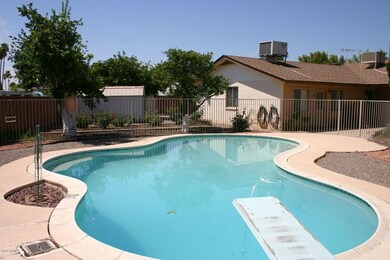Diving end of pool