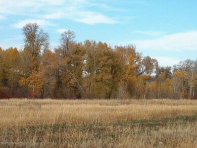 Lot 15 - 8