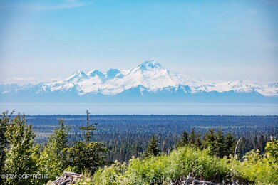 32926 Coyote Run Rd, Nikolaevsk, AK 99556 - photo 2