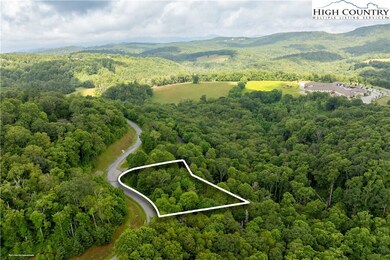 TBD Lot 217 Thunderhill Trail, Blowing Rock, NC 28605 - photo 6