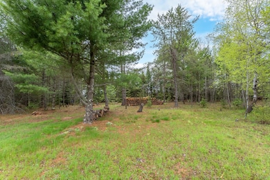 611 W Dyer Farm Rd, Eagle River, WI 54521 - photo 6