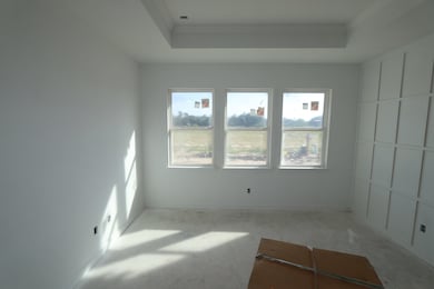 Primary suite - still under construction!