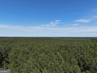 0 Callaway Rd unit 10657781, Rayle, GA 30660 - photo 5