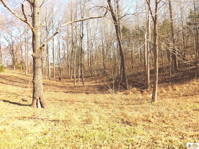 Lots 16R & 17R Runaway Dr, Fountain Run, KY 42133 - photo 2