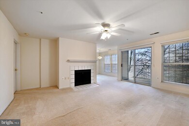4406 Silverbrook Ln unit J103, Owings Mills, MD 21117 - photo 3